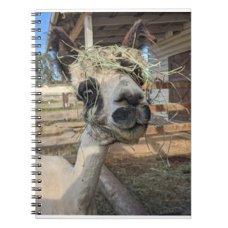 Funny Alpaca Notebook