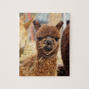 Funny Alpaca Puzzle Isabella