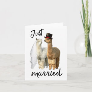 Funny Alpaca Shirt Bride And Groom Wedding _1  Card
