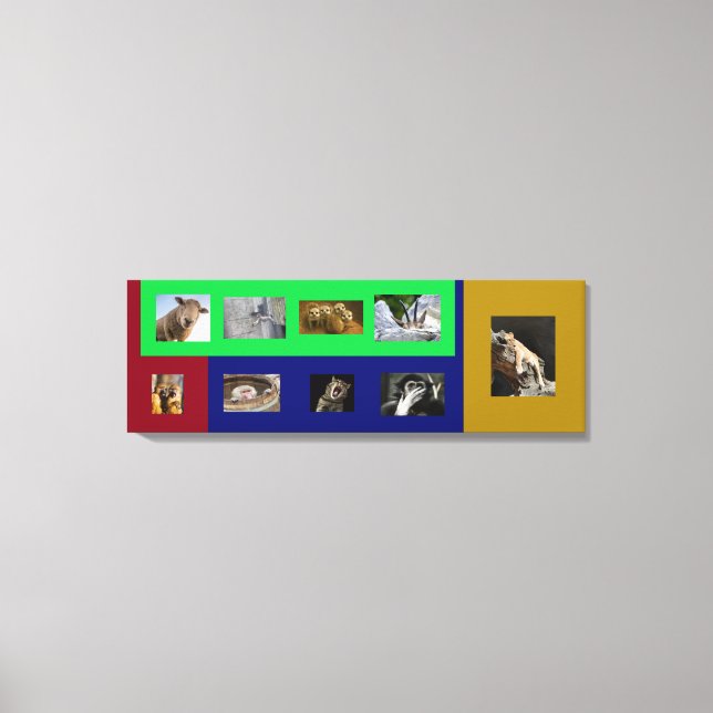 Funny Amimals on Colourful Stretched Canvas Print (Front)