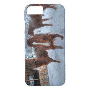 Funny Amorous Stallion and Reluctant Mare Horses Case-Mate iPhone Case