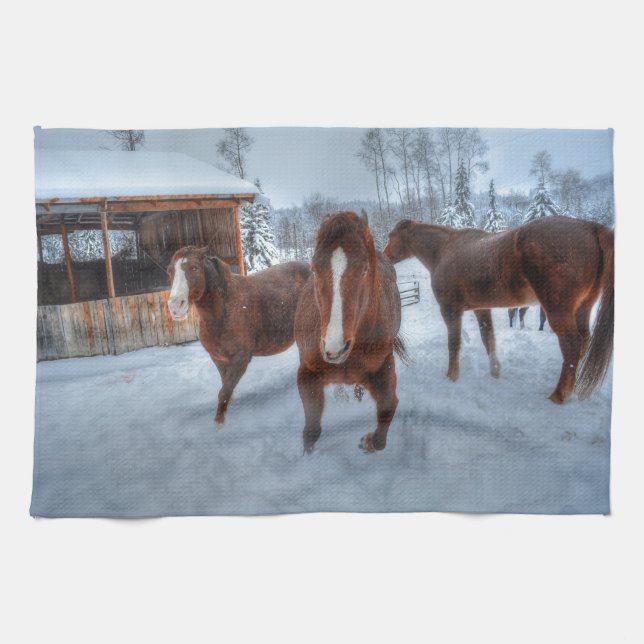 Funny Amorous Stallion and Reluctant Mare Horses Kitchen Towel (Horizontal)