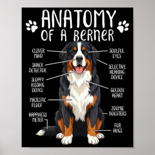 Funny Anatomy Bernese Mountain Dog Cute Berner Lov Poster