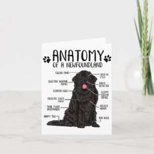 Funny Anatomy Newfoundland Dog Cute Newfie Lover Card