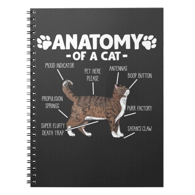Funny Anatomy of a Cat Cute Kitty Lover Pet Owner Notebook (Front)