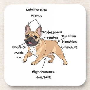 Funny Anatomy of a French Bulldog Illustration Coaster