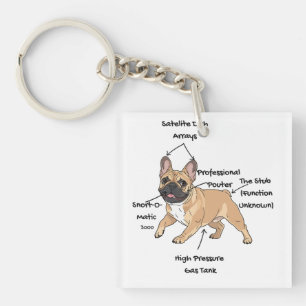 Funny Anatomy of a French Bulldog Illustration Keychain
