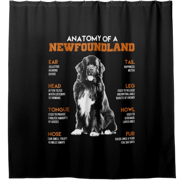 Funny Anatomy Of A Newfoundland Dogs (Front)