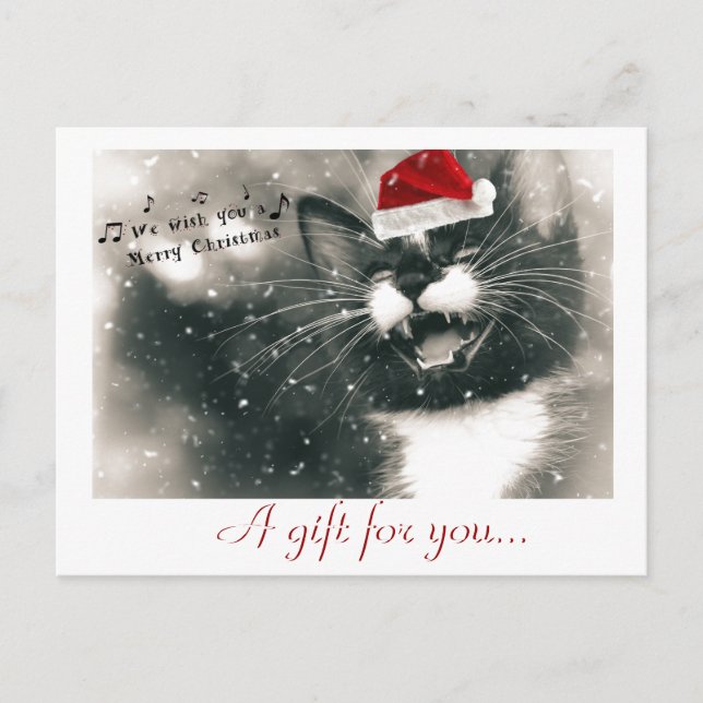 Funny and Adorable Christmas Cat Gift Certificate Postcard (Front)