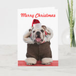 Funny and cute Bulldog Christmas cards<br><div class="desc">Funny Bulldog wearing Santa hat, coat and scarf. A photo Christmas card all you dog-loving friends will adore, especially any bulldog fans. Christmas message can be personalized. Another original image from one of the best dog photographers in the country. Sam Allen has been photographing dogs and other pets across the...</div>