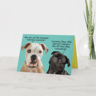 Funny and Cute Sit and Stay Dogs During Pandemic Card