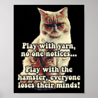 Funny Angry Cat Meme For Kitty Persons Cat Lovers