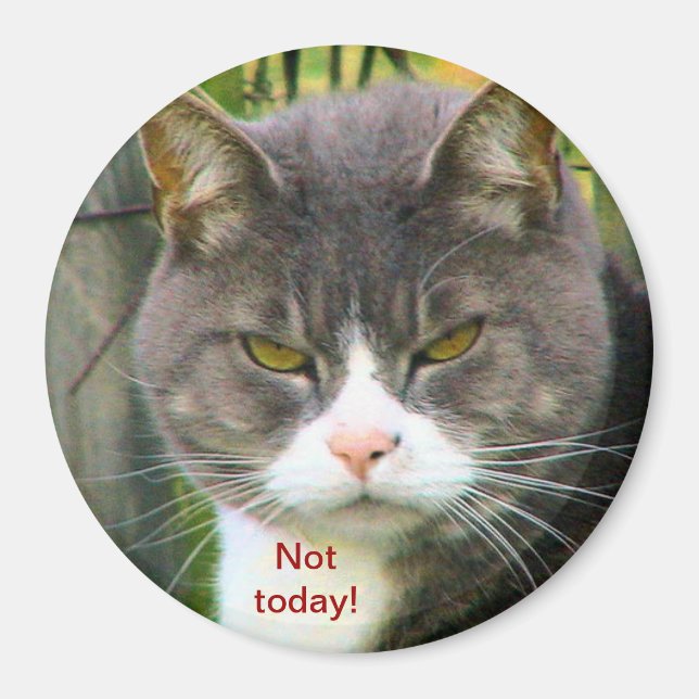 Funny ANGRY CAT saying, "NOT TODAY!" Magnet (Front)