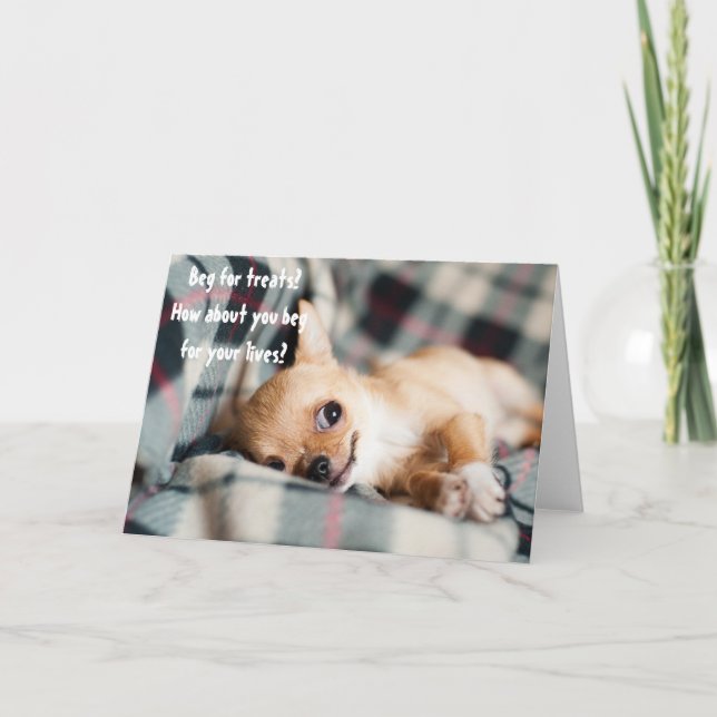 Funny Angry Chihuahua Beg For Lives Greeting Card (Front)