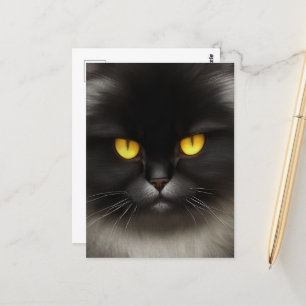 Funny Angry Fluffy Black Persian Kitty Cat Face Postcard