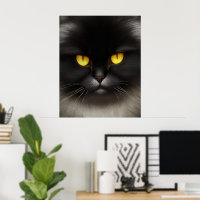 Funny Angry Fluffy Black Persian Kitty Cat Face