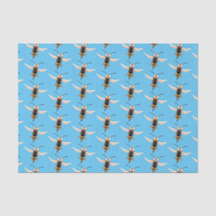 Funny angry hornet wasp cartoon illustration  tissue paper