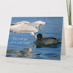 Funny Animal Larceny of Food - Get What You Want Card