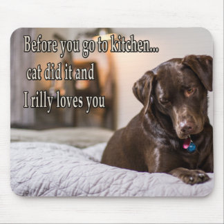 Funny animal memes Dog memes Humourous Photos Mouse Pad