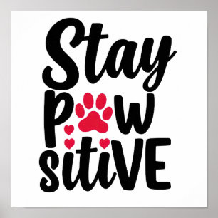 Funny Animal Stay Pawsitive Typography Poster