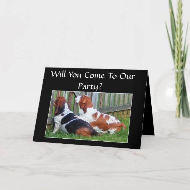 Funny Anniversary Invitation w/Cute Bassets (Front)