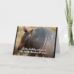 funny armadillo birthday card humour