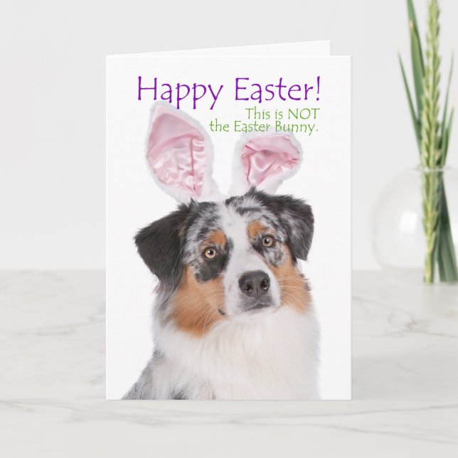 Funny Aussie Easter Card (Front)