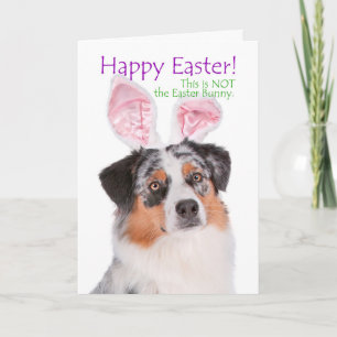 Funny Aussie Easter Card