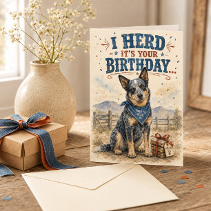 Funny Australian Cattle Dog Birthday Card