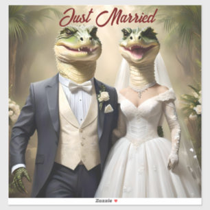 Funny Australian Crocodile Wedding,