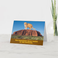   Funny Ayer's Rock Tabby