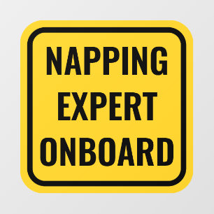 Funny Baby On Board Alternative Car Window Decal