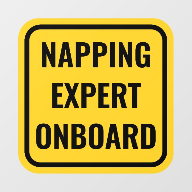 Funny Baby On Board Alternative Car Window Decal (Sheet)