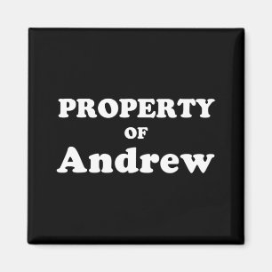 Funny Bachelorette Gifts For Bride Property Of And Magnet