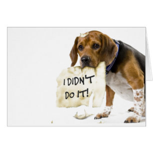 Funny Bad Dog Puppy I Didn't Do It Card