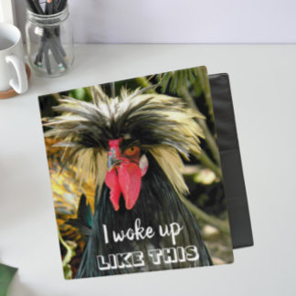 Funny Bad Hair Day Chicken Meme Binder