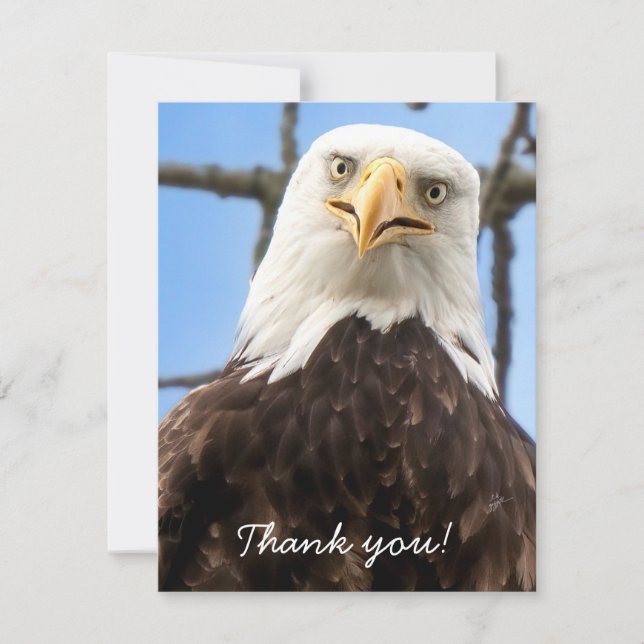 Funny Bald Eagle Face Wildlife Thank You (Front)