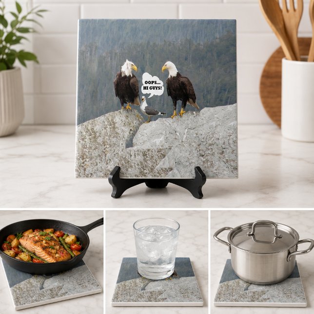 Funny Bald Eagles Seagull Wildlife Humour Kitchen Tile (Funny Bald Eagles Seagull Wildlife Humor Kitchen Tile)