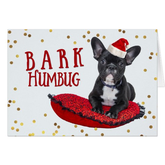 Funny BARK Humbug Cute Dog Lovers Christmas Card