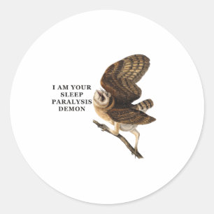 Funny Barn Owl Shirt  Classic Round Sticker