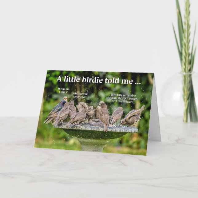 Funny Bathing Birds Birthday Card (Front)