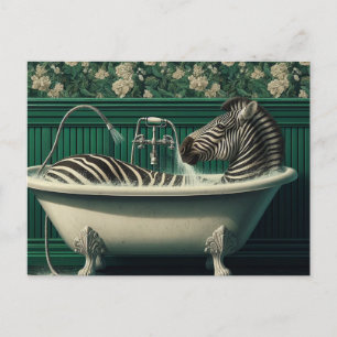 Funny Bathtub Zebra Postcard