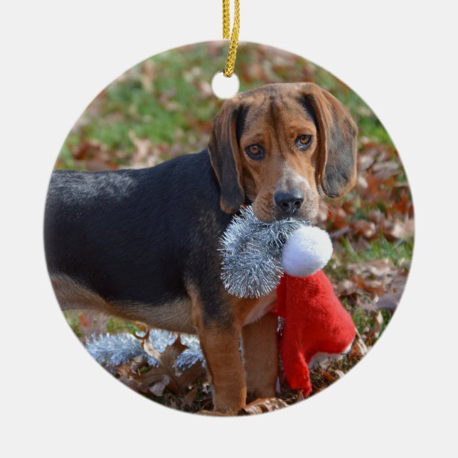 Funny Beagle Pup Took Santa's Hat Ceramic Ornament (Front)