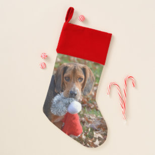 Funny Beagle With Santa Hat Christmas Stocking