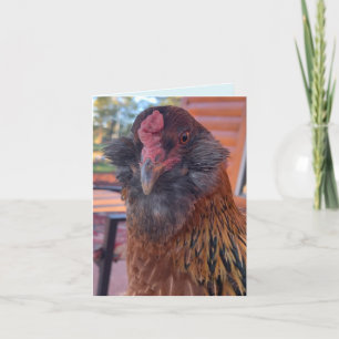 Funny Bearded Chicken Head Close-Up  Card