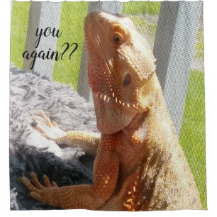Funny Bearded Dragon Photo Print