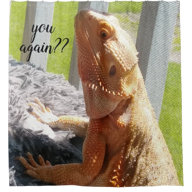 Funny Bearded Dragon Photo Print (Front)