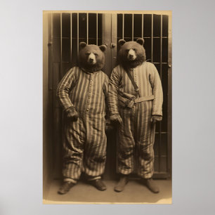 Funny Bears in Prison Print Vintage Animal Photo