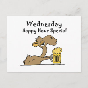 Funny Beer Drinking Camel Postcard