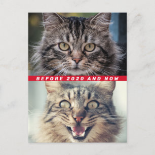 Funny Before And After 2020 Cat How Are You Doing? Postcard